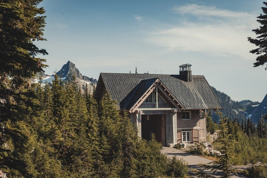 Chalet alpin entouré de sapins, face à un sommet montagneux